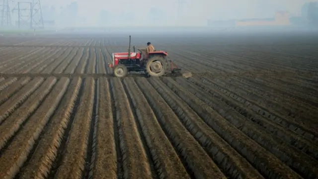 પ્રતીકાત્મક તસવીર