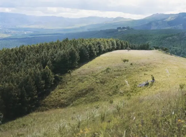 Hutan Usutu, Swaziland.