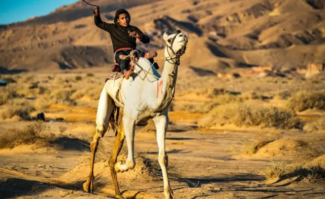Un chamelier pousse son chameau à l'aide d'un bâton lors de la course annuelle de Wadi Zalaga dans le centre du sud du Sinaï, en Egypte (10 janvier).