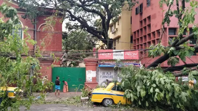 মধ্য কলকাতার রাস্তায় ট্যাক্সির ওপর ভেঙে পড়েছে গাছ