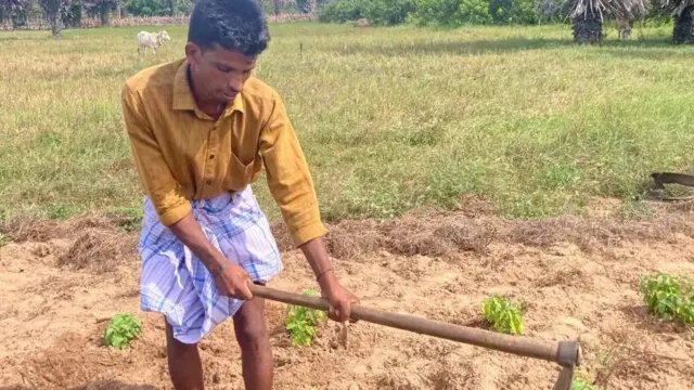 இலங்கை உணவு தட்டுப்பாடு