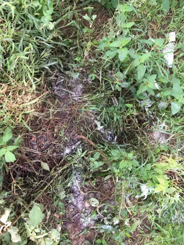 కిడారి సర్వేశ్వరరావు చనిపోయిన ప్రదేశం