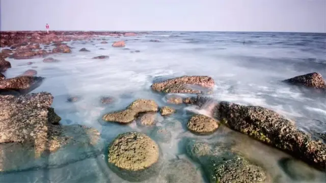 সেন্টমার্টিন বাংলাদেশের একমাত্র প্রবাল দ্বীপ।