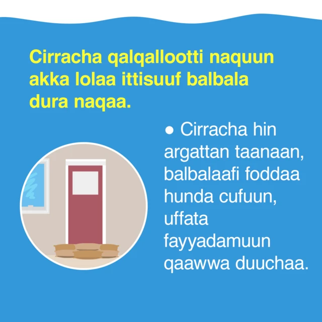 Cirraacha qalqallootti naquun akka lolaa ittisuuf balbala dura naqaa.