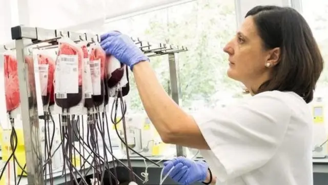 પ્રતીકાત્મક તસ્વીર