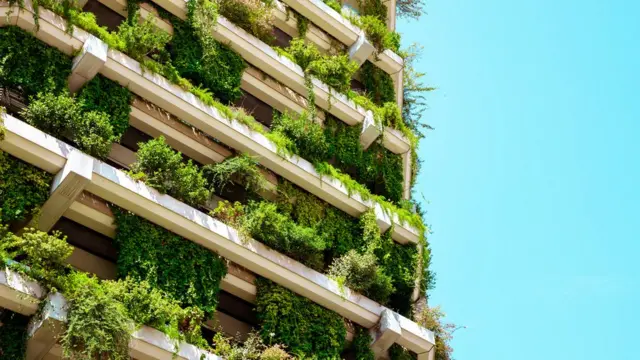 પ્રતીકાત્મક તસવીર