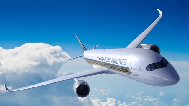 Imagem mostra aeronave da Singapore Airlines