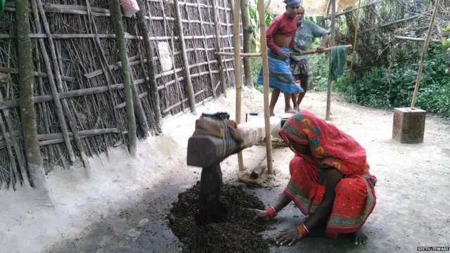 ઘોલી દેવીનાં નણંદ