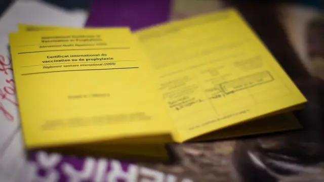 Bazı ülkeler dışardan gelecek yolculardan aşı belgesi talep etmeye başladı bile