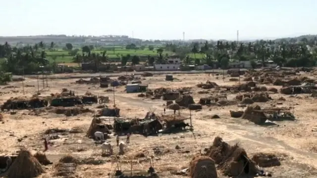 చెరకు కూలీలు