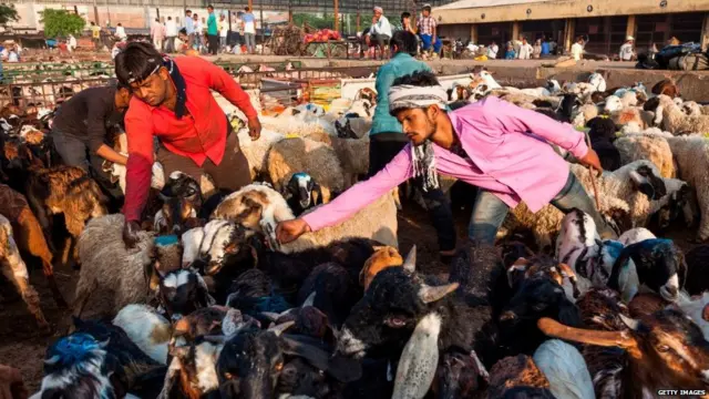 ਬੱਕਰੀਆਂ ਛਾਂਟਦੇ ਲੋਕ