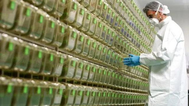 अनुसन्धान