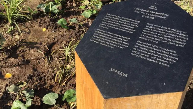 Северные ландшафты