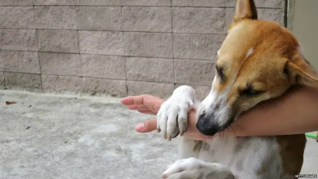 प्रातिनिधिक फोटो