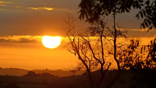 విటమిన్ డి