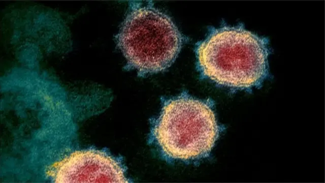 New strains of coronavirus