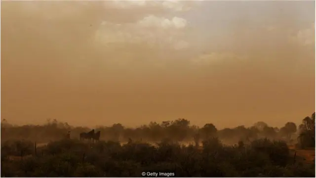 तेज़ी से गर्म हो रही दुनिया को घास-फ़ुस कैसे बचा सकते हैं?