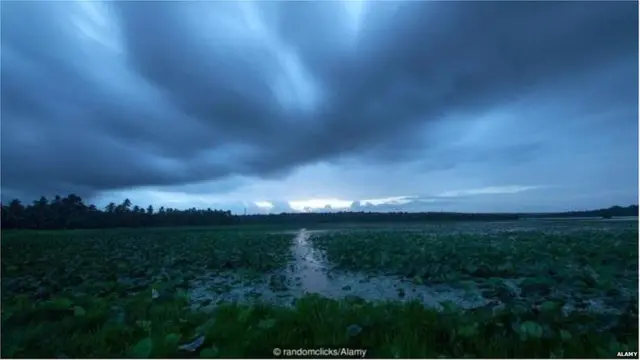 मॉन्सून