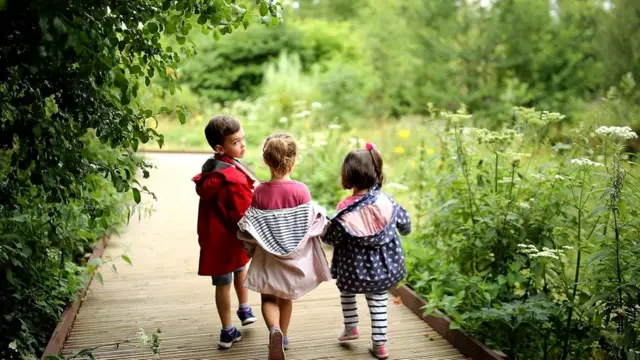 Очень важно, чтобы дети с раннего возраста учились различать растения - например, во время прогулок в парках