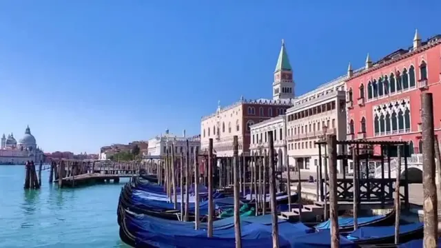 ভেনিসে খালের পানি লকডাউনের পর আশ্চর্যরকম পরিস্কার হয়ে গেছে।
