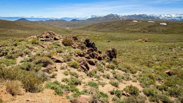 （圖片來源: Zack Frank）