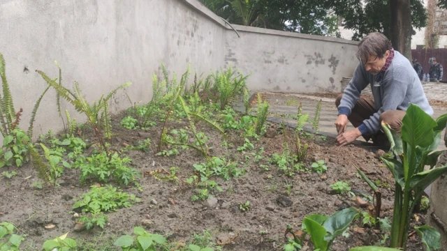 शान्तभवन पार्कमा बिरुवा रोप्दै स्थानीय।