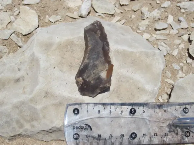 ส่วนหนึ่งของการสํารวจภาคสนามในประเทศกาตาร์พบเครื่องมือหิน