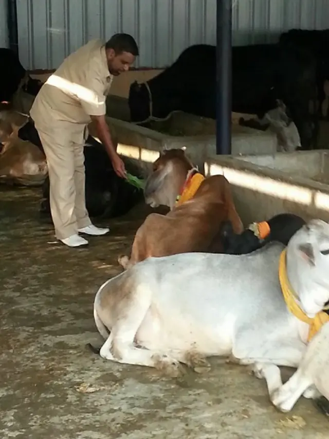 दिलदार हुसेन बेग़