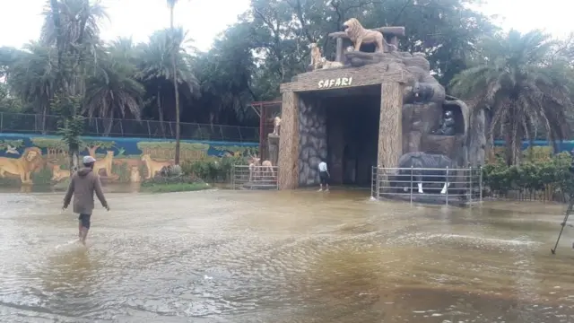 నీళ్లతో నిండిపోయిన హైదరాబాద్‌లోని నెహ్రూ జులాజికల్ పార్క్