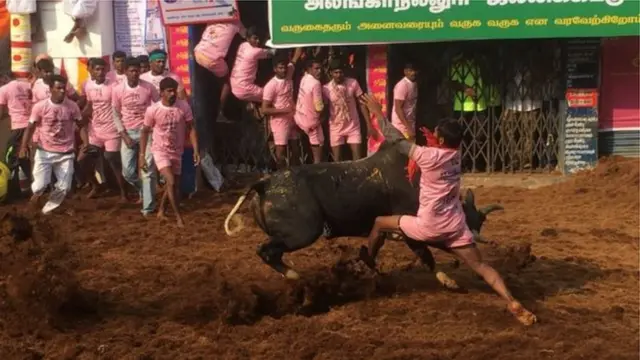 తమిళనాడులో జల్లికట్టు