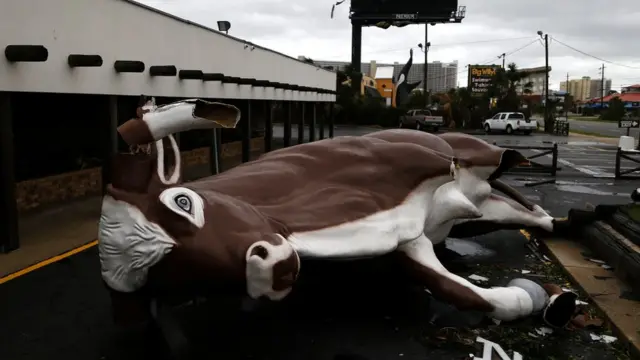 حکام کے مطابق درخت گرنے سے ایک شخص کی ہلاکت ہوئی ہے جبکہ فلوریڈا، الاباما اور جورجیا میں پانچ لاکھ سے زائد افراد بجلی سے محروم ہیں۔