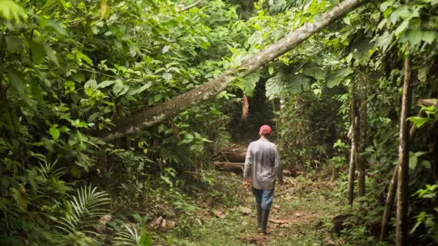 Víctor Zambrano caminando en la selva