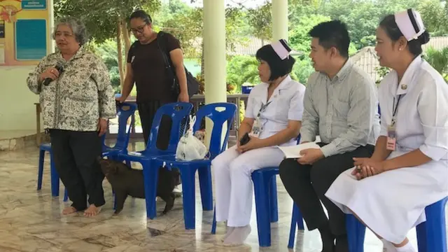 ดร.กฤษณากับหมูป่า