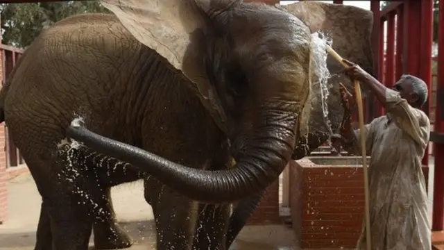 کراچی چڑیا گھر