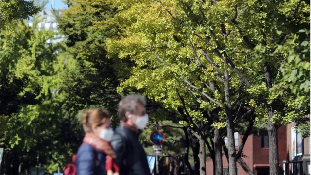 나뭇잎 색이 번하기도 전에 찾아온 추위. 서울 정동에서 잎이 푸르고 무성한 나무 앞으로 패딩 입은 사람들이 지나가고 있다