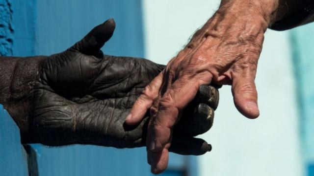 Chimpanzé dando a mão a um humano
