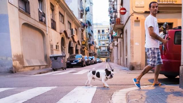 Homem cruza a rua com cachorro