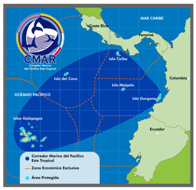 Pesca Vivencial, una opción para explorar Galápagos en este feriado –  Ministerio de Turismo