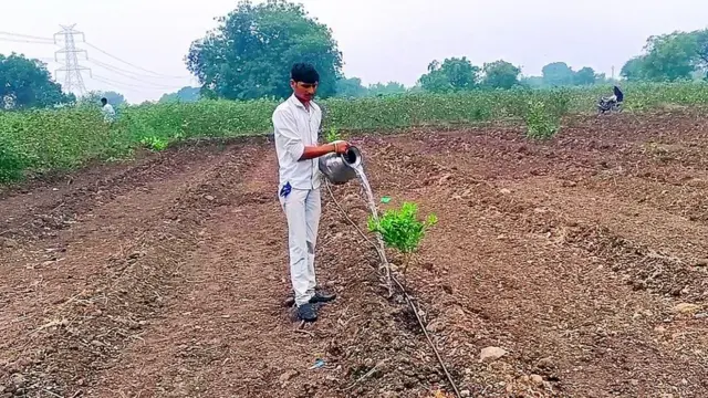 वीज, शेतकरी, महाराष्ट्र