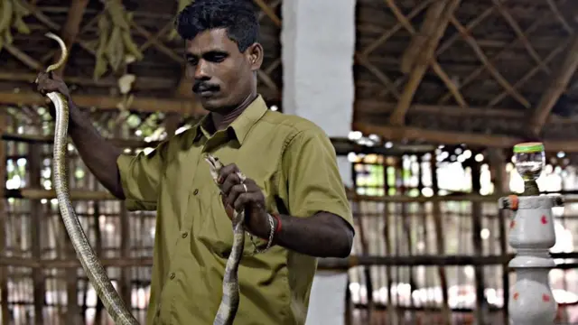 أحد أعضاء قيبلة إيرولا