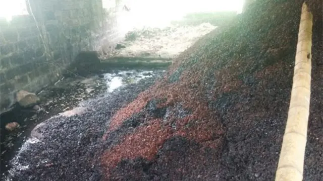 Desechos de pulpa de café