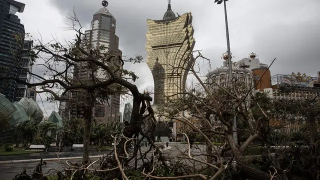 澳門新葡京娛樂場附近一顆塌樹（27/8/2017）