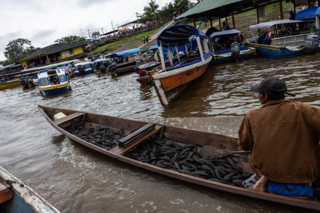 Um homem leva seu pescado para o mercadobilhetes prontos para os jogos de hojebarco