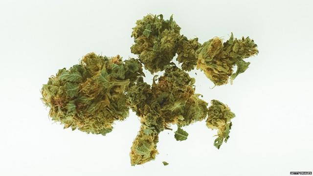 La marihuana de alta potencia bajo la lupa: ¿qué hay en el
