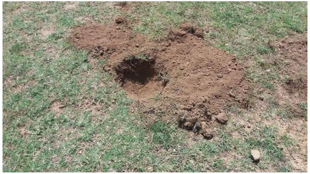 ምፅራይ ነተጉቲ ኣብ ግንባር ዘላምበሳ