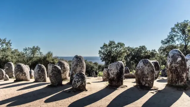 스톤헨지보다 적어도 1000년 앞서 있었음에도 불구하고, 알멘드레스 크롬레흐는 1964년에야 학계의 주목을 받았다