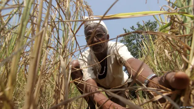 प्रातिनिधिक फोटो