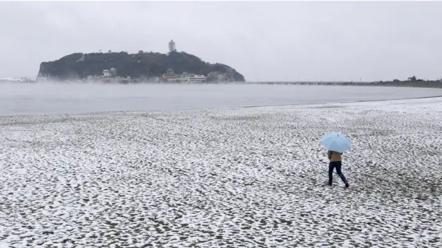 Tokyo, Jepang, salju