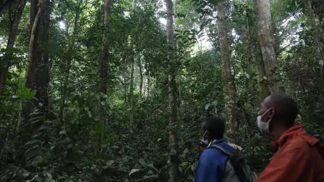 Bien qu'il soit prouvé que les concessions conduisent à une gestion durable de la forêt, le processus d'acquisition d'une concession par une communauté est complexe et coûteux