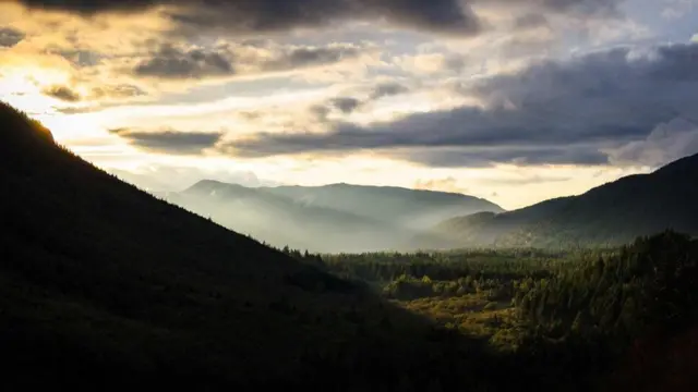 （图片来源：Zack Frank）